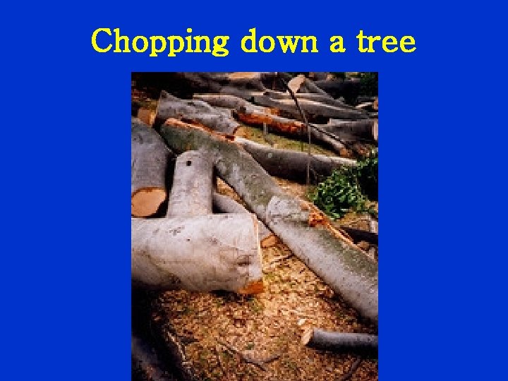 Chopping down a tree 