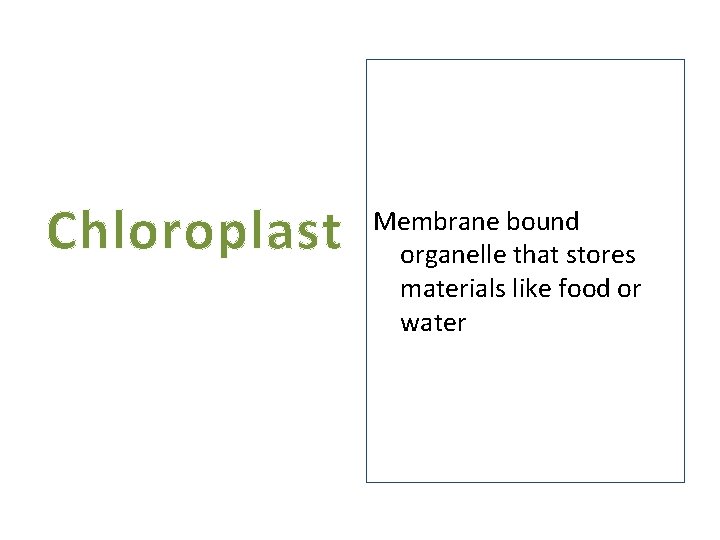 Chloroplast Membrane bound organelle that stores materials like food or water 
