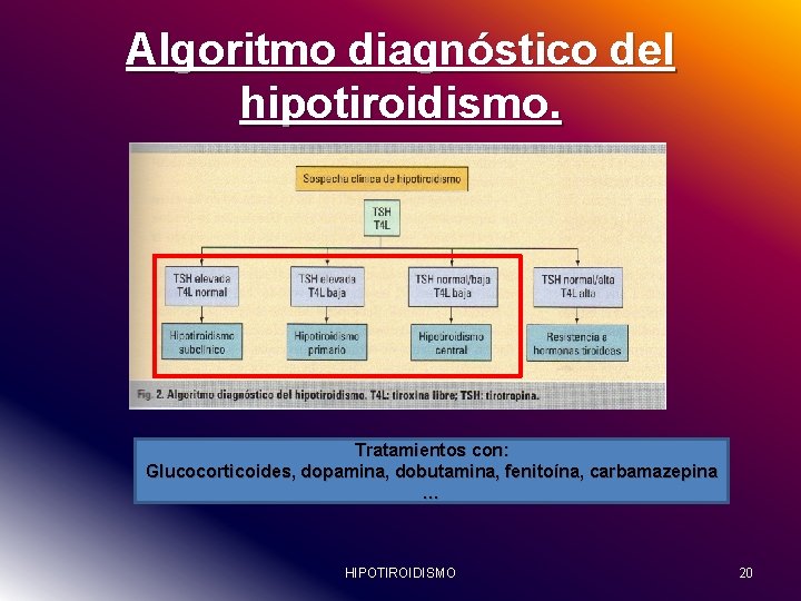 Algoritmo diagnóstico del hipotiroidismo. Tratamientos con: Glucocorticoides, dopamina, dobutamina, fenitoína, carbamazepina … HIPOTIROIDISMO 20