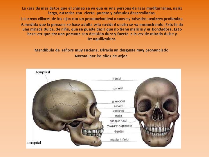 La cara da mas datos que el cráneo se ve que es una persona
