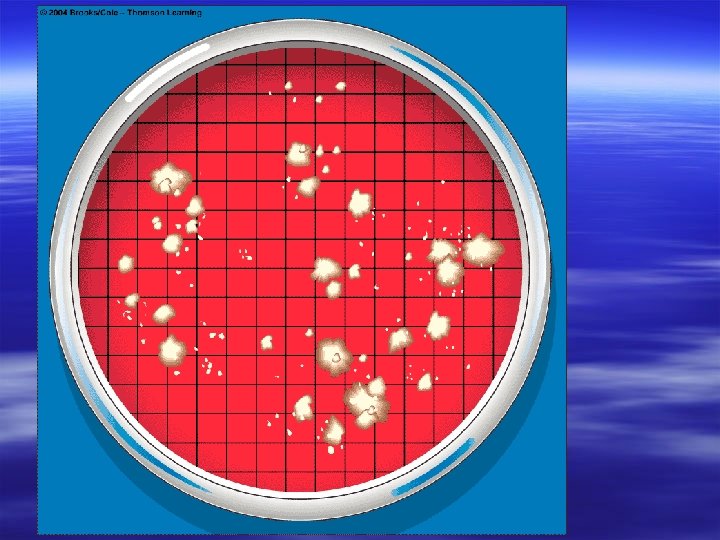 Figure 19 -2 Page 485 