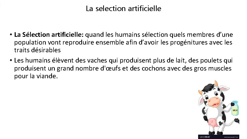 La selection artificielle • La Sélection artificielle: quand les humains sélection quels membres d’une