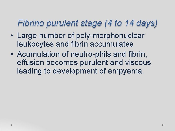 Fibrino purulent stage (4 to 14 days) • Large number of poly-morphonuclear leukocytes and