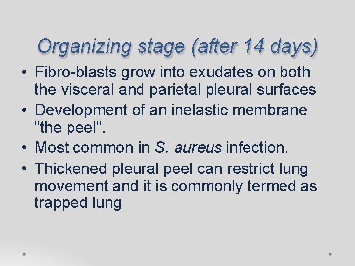 Organizing stage (after 14 days) • Fibro-blasts grow into exudates on both the visceral