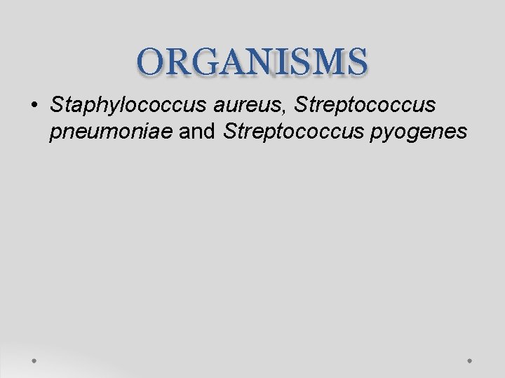 ORGANISMS • Staphylococcus aureus, Streptococcus pneumoniae and Streptococcus pyogenes 