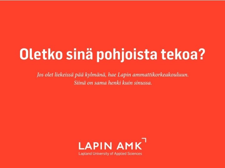 www. lapinamk. fi 