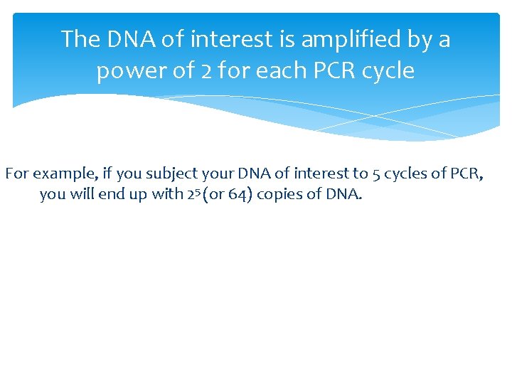 The DNA of interest is amplified by a power of 2 for each PCR
