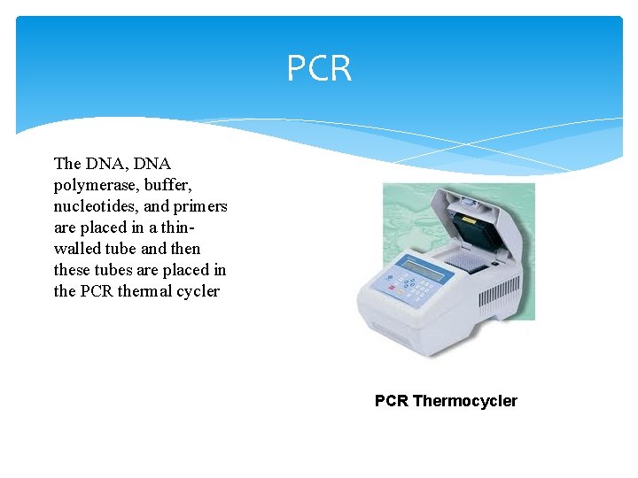 PCR The DNA, DNA polymerase, buffer, nucleotides, and primers are placed in a thinwalled