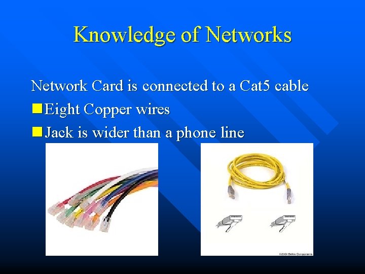 Knowledge of Networks Network Card is connected to a Cat 5 cable n Eight