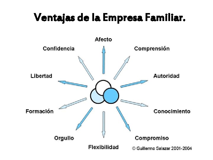 Ventajas de la Empresa Familiar. 