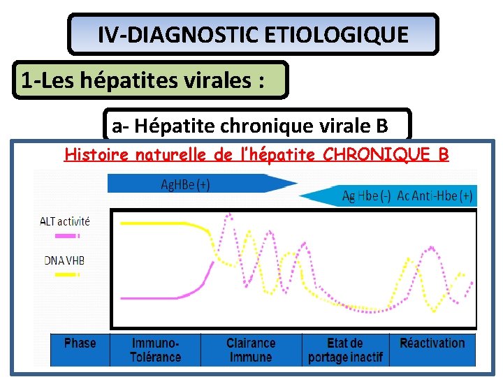 IV-DIAGNOSTIC ETIOLOGIQUE 1 -Les hépatites virales : a- Hépatite chronique virale B Histoire naturelle