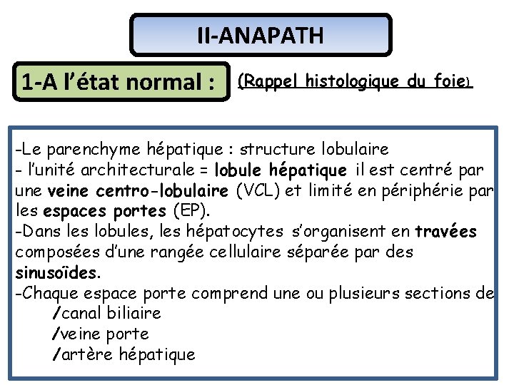 II-ANAPATH 1 -A l’état normal : (Rappel histologique du foie) -Le parenchyme hépatique :