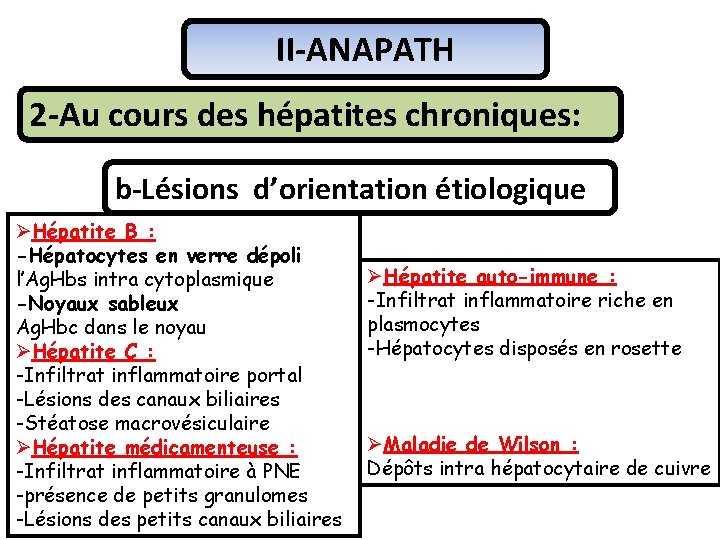 II-ANAPATH 2 -Au cours des hépatites chroniques: b-Lésions d’orientation étiologique ØHépatite B : -Hépatocytes