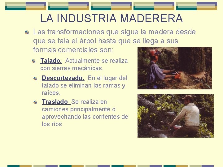 LA INDUSTRIA MADERERA Las transformaciones que sigue la madera desde que se tala el LA INDUSTRIA MADERERA Las transformaciones que sigue la madera desde que se tala el