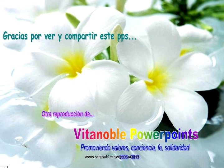 www. vitanoblepowerpoints. net www. vitanoblepowerpoints. net