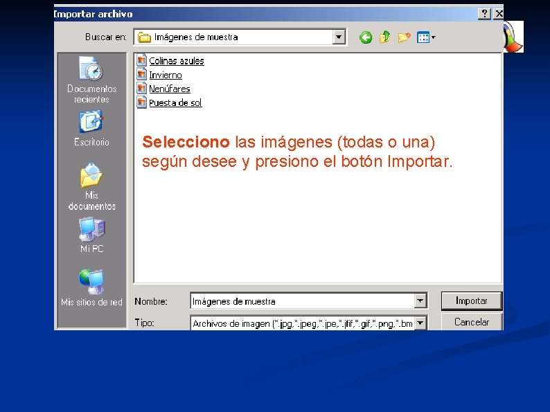 Selecciono las imágenes (todas o una) según desee y presiono el botón Importar. 