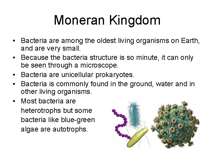 Moneran Kingdom • Bacteria are among the oldest living organisms on Earth, and are