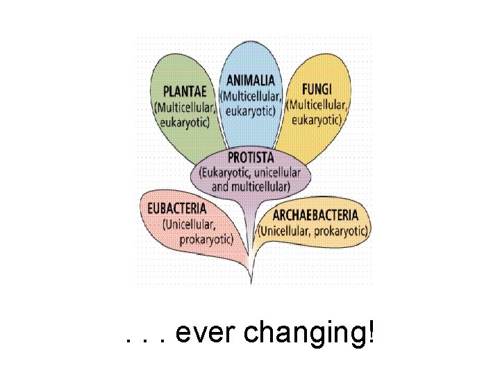 . . . ever changing! 