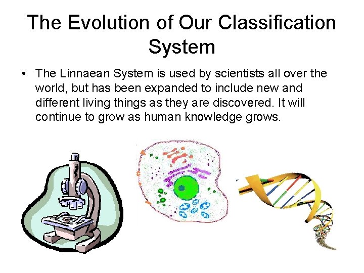 The Evolution of Our Classification System • The Linnaean System is used by scientists