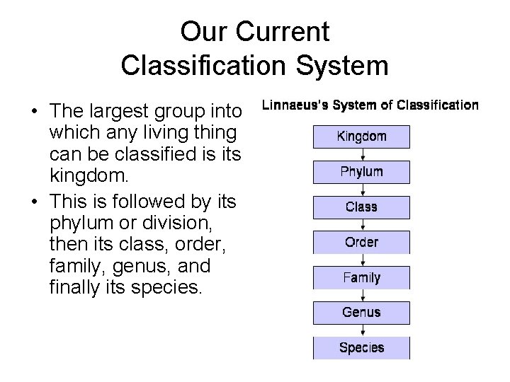 Our Current Classification System • The largest group into which any living thing can