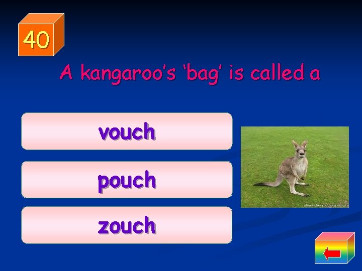 40 A kangaroo’s ‘bag’ is called a vouch pouch zouch 