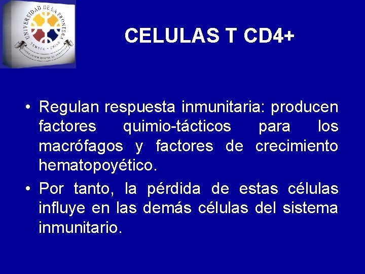 CELULAS T CD 4+ • Regulan respuesta inmunitaria: producen factores quimio-tácticos para los macrófagos