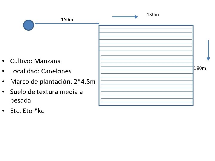 150 m Cultivo: Manzana Localidad: Canelones Marco de plantación: 2*4. 5 m Suelo de 150 m Cultivo: Manzana Localidad: Canelones Marco de plantación: 2*4. 5 m Suelo de