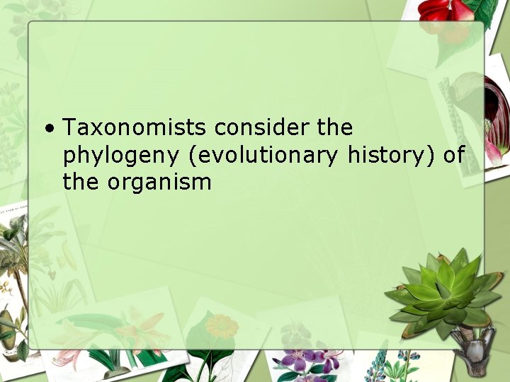  • Taxonomists consider the phylogeny (evolutionary history) of the organism 
