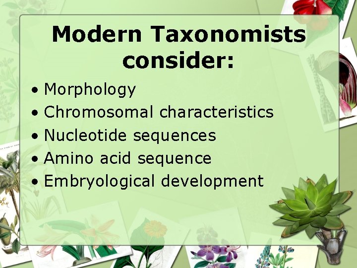 Modern Taxonomists consider: • Morphology • Chromosomal characteristics • Nucleotide sequences • Amino acid