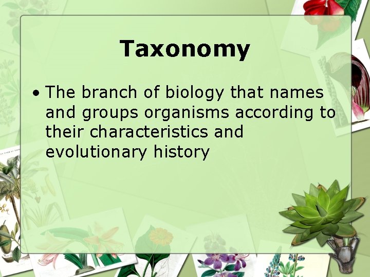 Taxonomy • The branch of biology that names and groups organisms according to their