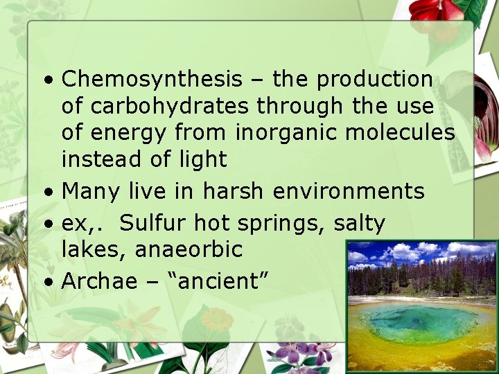  • Chemosynthesis – the production of carbohydrates through the use of energy from