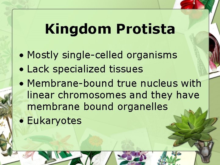 Kingdom Protista • Mostly single-celled organisms • Lack specialized tissues • Membrane-bound true nucleus
