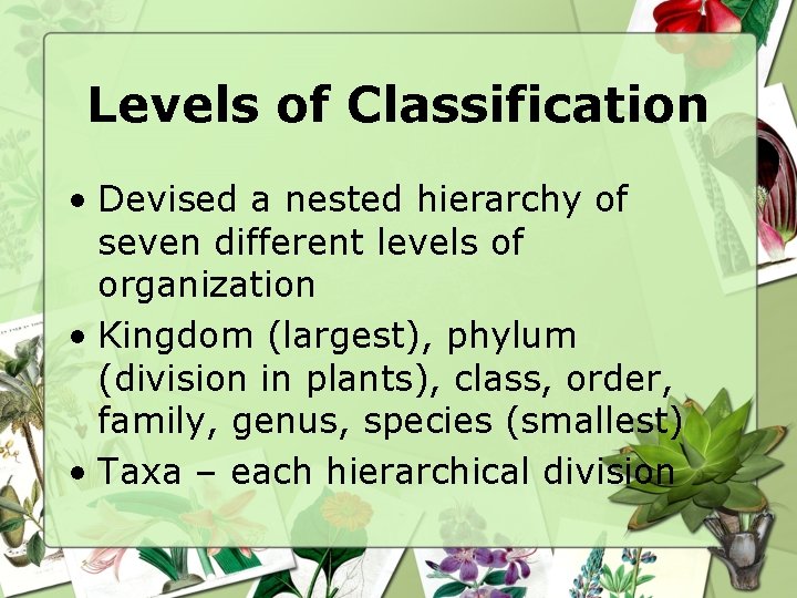 Levels of Classification • Devised a nested hierarchy of seven different levels of organization