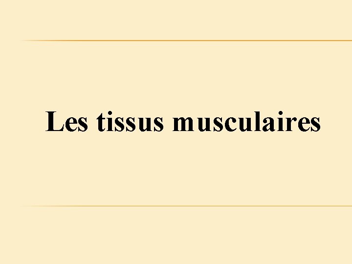 Les tissus musculaires 