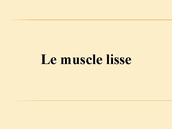 Le muscle lisse 