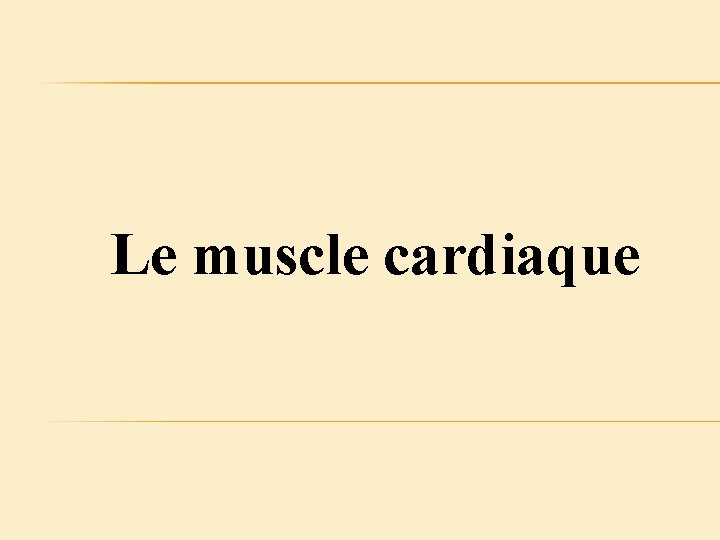 Le muscle cardiaque 