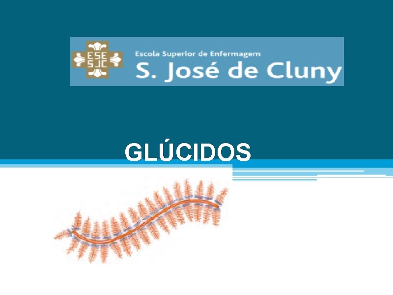 GLÚCIDOS 