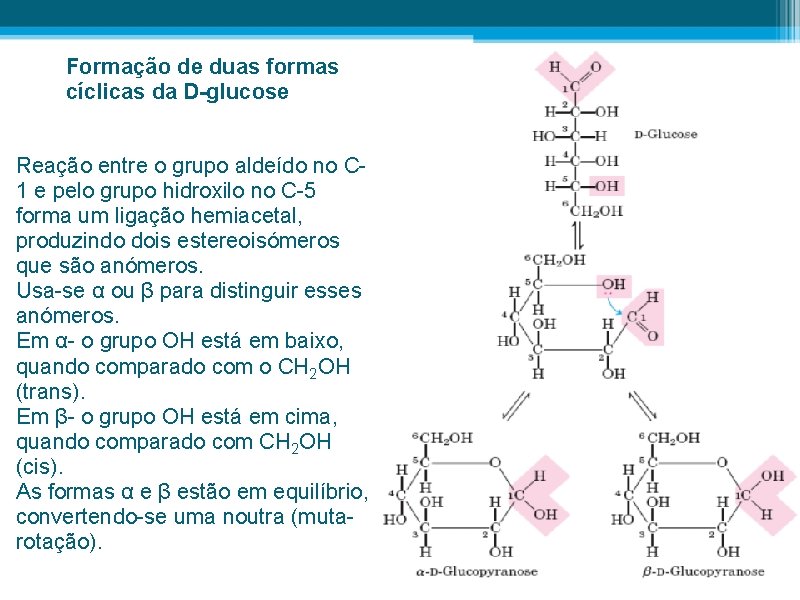 Formação de duas formas cíclicas da D-glucose Reação entre o grupo aldeído no C