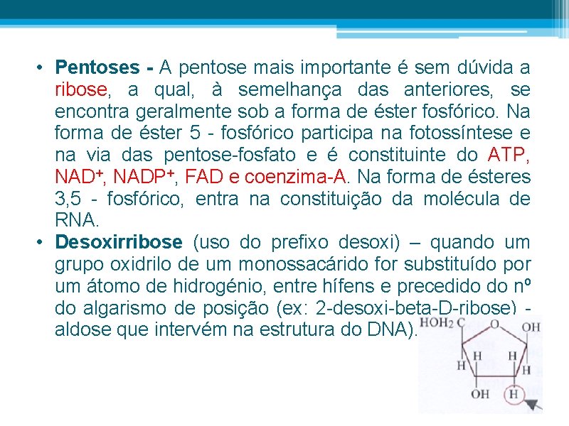  • Pentoses - A pentose mais importante é sem dúvida a ribose, a