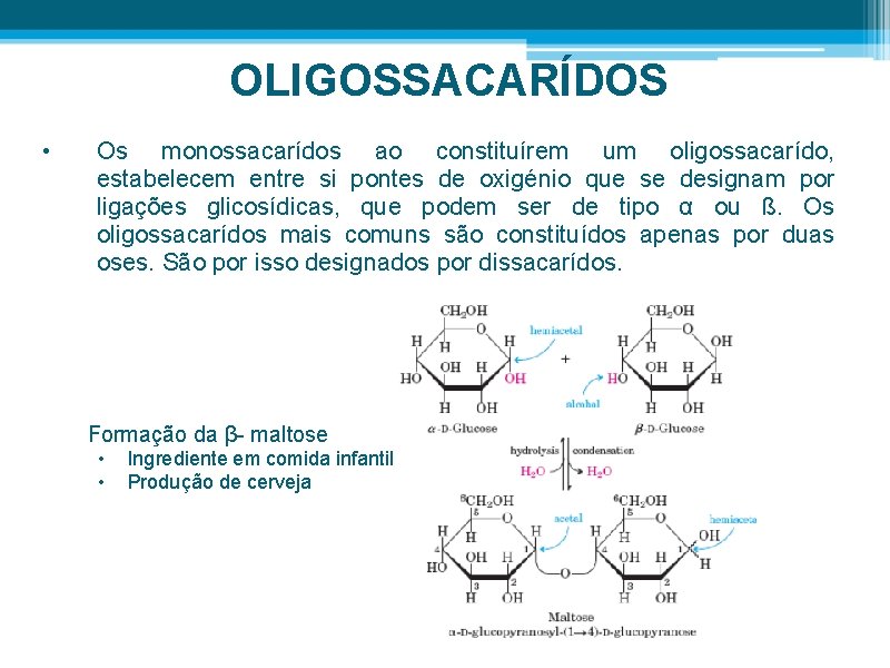 OLIGOSSACARÍDOS • Os monossacarídos ao constituírem um oligossacarído, estabelecem entre si pontes de oxigénio