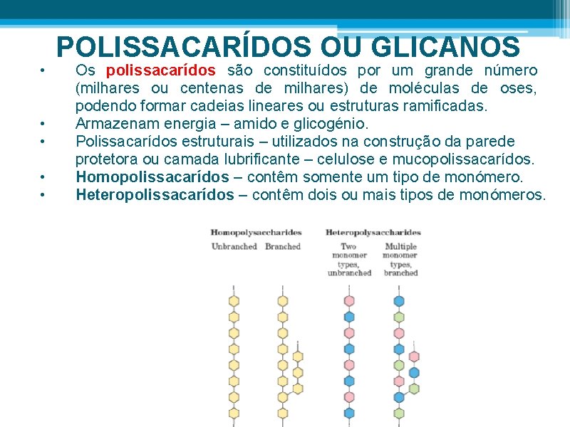  • • • POLISSACARÍDOS OU GLICANOS Os polissacarídos são constituídos por um grande