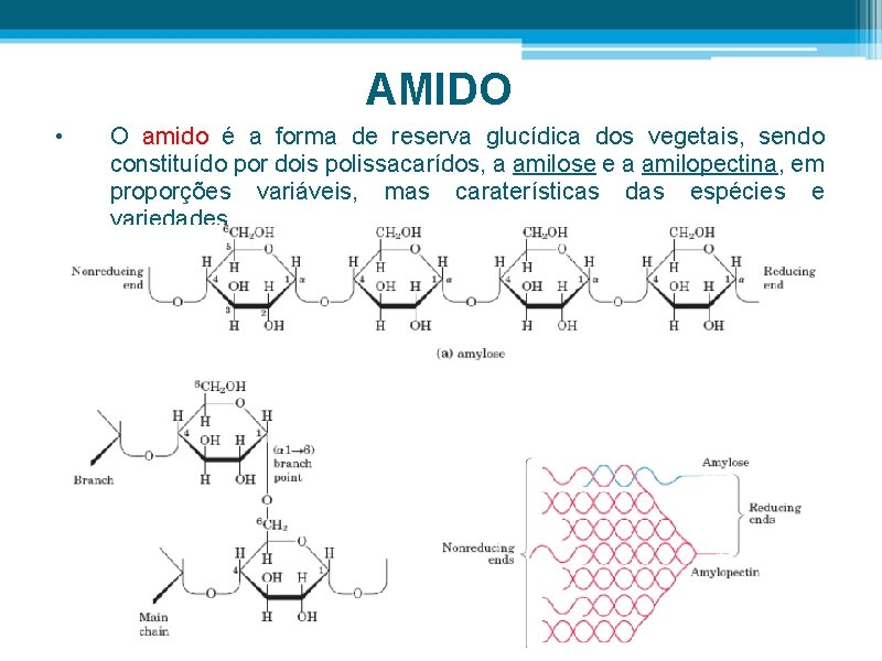 AMIDO • O amido é a forma de reserva glucídica dos vegetais, sendo constituído