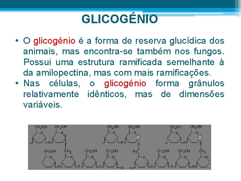 GLICOGÉNIO • O glicogénio é a forma de reserva glucídica dos animais, mas encontra-se