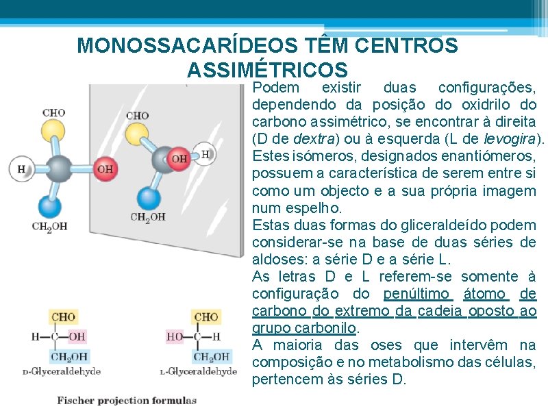 MONOSSACARÍDEOS TÊM CENTROS ASSIMÉTRICOS • Podem existir duas configurações, dependendo da posição do oxidrilo