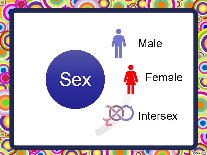 Male Sex Female Intersex 
