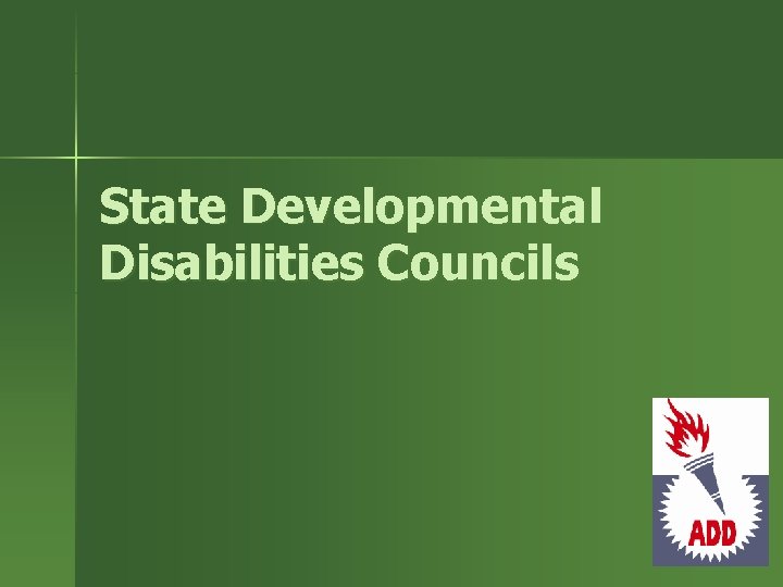 State Developmental Disabilities Councils 