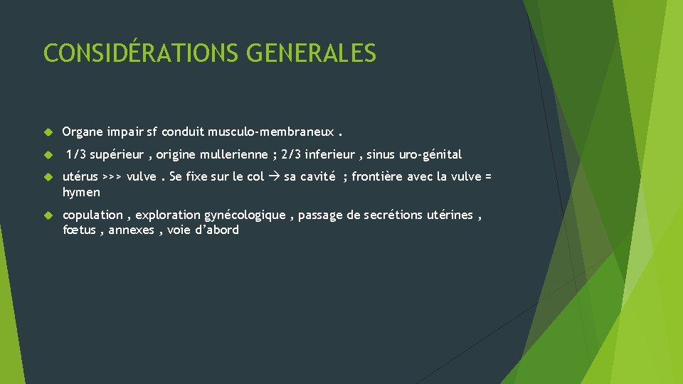 CONSIDÉRATIONS GENERALES Organe impair sf conduit musculo-membraneux. 1/3 supérieur , origine mullerienne ; 2/3