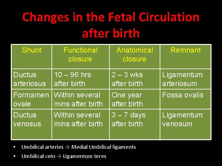 Changes in the Fetal Circulation after birth Shunt Ductus arteriosus Functional closure 10 – Changes in the Fetal Circulation after birth Shunt Ductus arteriosus Functional closure 10 –