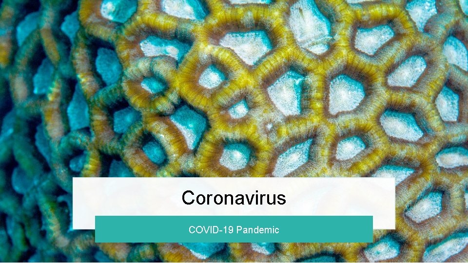 Coronavirus COVID-19 Pandemic 