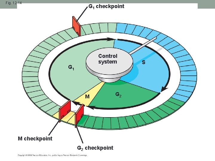 Fig. 12 -14 G 1 checkpoint Control system G 1 M M checkpoint G